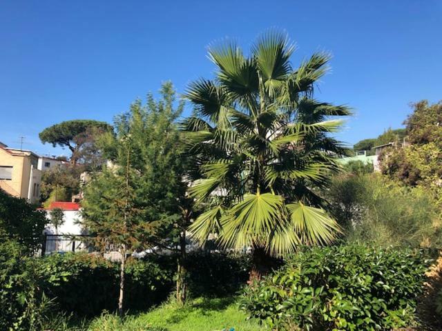 La Ville Torre del Greco Dış mekan fotoğraf